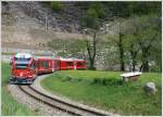 ABe 8/12 3501 umrundet das Kreisviadukt von Brusio. Alte Badewannen werden als Viehtrnken benutzt und sind nicht fr Bahnbilder Fotografen bestimmt. (08.05.2010)