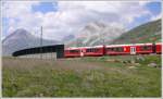 R1656 mit ABe 8/12 3502  Friedrich Hennings  fhrt in die Arlas Galerie ein zwischen Ospizio Bernina und Bernina Lagalb. Links der Piz Albris 3165m und rechts der Piz Alv 2974m. (14.07.2010)