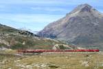 RhB REGIONALZUG 431 von St.Moritz nach Tirano am 30.08.1993 bei Alp Bondo auf der oberen Berninabachbrcke mit Triebwagen ABe 4/4II 42 - ABe 4/4II 49 - AB 1543 - B 2462 - B 2466 - B 2460 - BD 2474 - B 2455 - B 2452 - B 2095 - B 2102. Hinweis: Zug hat Vollast mit 140t in 70-Promille-Steigung.
