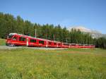 ABe 8/12 3513 mit  Bernina Express  zwischen Punt Muragl Staz und Pontresina - 21-06-2011