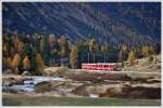 R1637 mit einem Allegra kommt von Morteratsch herauf Richtung Bernina Suot. (11.10.2012)