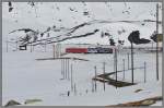 Charakteristisch fr die Berninalinie sind die vielen Strom- und Fahrleitungsmasten, die bei der gewundenen Linienfhrung noch zahlreicher erscheinen. R1621 nach Poschiavo mit den Triebwagen 53  Tirano  und 51  Poschiavo  hat soeben die Arlas Gallerie verlassen.  (18.04.2013)