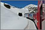 Etwas weiter oben. R1656 mit den ABe 4/4 III 51  Poschiavo  und 53  Tirano  zwischen Alp Grm und Ospizio Bernina auf der Bernina Sdseite. (15.04.2013)