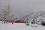 R1629 mit ABe 4/4 III 53  Tirano  in der Alp Grüm Kurve.