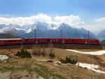 Abe 8/12 3504  Dario Cologna  als R 1621 (St.Moritz - Tirano) durchfährt die 180° Panoramokurve bei Alp Grüm. Die Fahrgäste genießen gerade einen weiten Blick ins Puschlav mit dem Lago di Poschiavo.
Alp Grüm, 07. Mai 2016