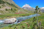 RhB Allegra-Triebzug ABe 8/12 mit Regio unterwegs bei Bernina Suot. Aufnahme während Wanderung am 28. Juni 2016