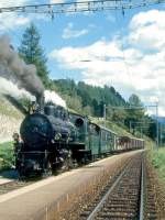 RhB DAMPFGTERZUG mit Personenbefrderung 6262 von Scuol nach Samedan am 10.09.1994 in Guarda mit Dampf-Lok G 4/5 108 - B 2060 - D 4052I - Kkl 7030 - Kkl 7078 - E 6024 - E 6023 - Gbkv 5571 - Gb 5817