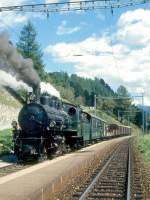 RhB DAMPFGTERZUG mit Personenbefrderung 6262 von Scuol nach Samedan am 10.09.1994 in Guarda mit Dampf-Lok G 4/5 108 - B 2060 - D 4052I - Kkl 7030 - Kkl 7078 - E 6024 - E 6023 - Gbkv 5571 - Gb 5817