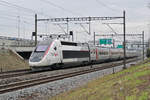 TGV Lyria 4419 fährt Richtung Bahnhof SBB.