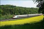 Der ICN  Graf Zeppelin  zwischen gelben Rapsfeld und grnem Wald auf der Fahrt nach Basel. Zeiningen im Aargau am 30.4.2007.