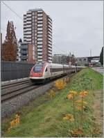 Nur 10 Minuten am Bahndamm gestanden...