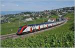 Die beiden SBB Twindexx RABe 502 212-9 und RABDe 502 010-3 (Ville de Genève) sind bei Bossière als IC 713 unterwegs.