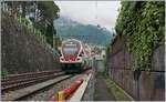 Südlich der Strecke Montreux - Clarens bei Kilometer 23.8 ist die Lärmschutzwand auf gut 50 Meter etwas versetzt und bietet einen freien Blick auf die Strecke.