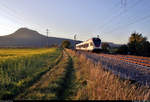 Vorbei am Hohenhewen:  RABe 521 205 (Stadler FLIRT) der SBB GmbH (SBB) als SBB87705  Seehas  von Engen nach Konstanz fährt in Engen-Welschingen auf der Bahnstrecke Offenburg–Singen