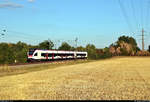 RABe 521 003-4  Weil am Rhein  (Stadler FLIRT), immer noch mit Drei-Löwen-Takt-Beklebung, unterwegs in Engen-Welschingen.