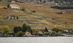 SBB RABe 523 Flirt im schönem herbstlichem Lavaux.