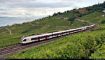 Nachschuss auf zwei RABe 523 (Stadler FLIRT) östlich von Grandvaux (CH) am Genfersee (Lac Léman).