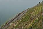 Ein SBB ETR 610 unterwegs als EC 32 von Milano nach Genève zwischen Rivaz und Epesses im Lavaux.