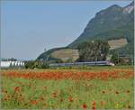 Ein SBB ETR 610 auf dem Weg nach Genève kurz nach Aigle.