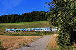 BLS NINA 15 und die Aepfel. Der Zug wirbt für den Berner Hausberg Gurten. 12.August 2018 