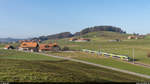 BLS RABe 525 035 & 002 als S6 Bern - Schwarzenburg am 2. März 2021 bei Schwarzenburg.<br>
Seit dem 1. März setzt die BLS auf der Linie S6 zwischen Bern und Schwarzenburg keine MUTZen mehr ein. Grund dafür sind Erkenntnisse aus dem SUST-Zwischenbericht zum Anprall am 31.12.20 in Belp. Eingesetzt werden stattdessen wie vor Einführung der MUTZen wieder RBDe 565 bzw. 566 II und eine NINA-Doppeltraktion.