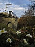 Der 2-teiliger Thurbo 2/6, bestehend aus der Thurbo RABe 526 751-3 und einer weiteren unbekannten Thurbo GTW 2/6 durchqueren im Bild als S41 nach Winterthur die 93 Meter lange Wildbachbrücke bei