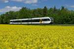 Am 30.04.2018 passiert S7 23748 von Rorschach nach Weinfelden ein in voller Blüte stehendes Rapsfeld in der Nähe von Egnach.