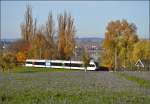 GTW der Thurbo in Triboltingen. Im Hintergrund ist die Hochwart auf der Insel Reichenau zu sehen. November 2015.