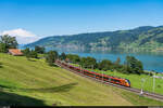 SOB RABe 526 / Voralpen-Express Luzern - St.