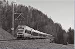 Die beiden BLS  Lötschberger  535 118 und 124 sind im noch schattigen Simmental als Regionalzug 6817 von Bern nach Zweisimmen kurz nach Weissenburg unterwegs.