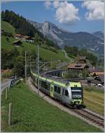 Der BLS RABe 535 116  Lötschberger  ist als Regionalzug 6824 von Zweisimmen nach Bern bei Garstatt unterwegs.