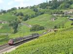 S-Bahnzug der Reihe RBDe 560, gesehen auf einer kleinen Wanderung zwischen Grandvaux und Epesses am 29.7.2011