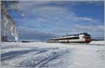 Ein SBB RABDe 560  Domino  ist in einem TPF Umlauf auf dem Weg nach Bulle und fährt hier durch die herrliche Winterlandschaft zwischen Sâles und Vaulruz.