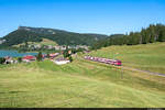 Letzte Einsätze im Vallée de Joux: Travys RBDe 560 384 konnte am 08.07.2022 bei Les Charbonnières aufgenommen werden