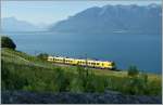 Der  Train des Vignes  12058 kurz vor Chexbres im Sonnenmorgenlicht und vor der Kulisse des Lac Lman und der Walliser Alpen am 29. Mai 2011