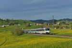 RBDe 561 082 als VAE am 21.05.2016 bei Biberbrugg.