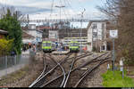 Am 14. Dezember 2019 war der letzte Betriebstag der Sensetalbahn mit dem alten Bahnhof Laupen. Vom 15. Dezember 2019 bis am 12. Dezember 2020 wird die Strecke Flamatt - Laupen totalsaniert und der Bahnhof Laupen um ca. 250 m auf die andere Strassenseite Richtung Neuenegg verschoben.<br>
Auch der Kreuzungsbahnhof Neuenegg wird umgebaut und erhält anstatt des über einen Bahnübergang erreichbaren Mittelperrons neu zwei durch eine Unterführung verbundene Aussenperrons. Am 14. Dezember kreuzen hier sich zwei RBDe-565-Pendel. Aufgenommen vom Bahnübergang Dorfstrasse. Rechts die seit 2005 nicht mehr auf der Schiene bediente Wander AG (wo u. a. Ovomaltine für ganz Europa hergestellt wird).