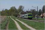 Der BLS RBDe 565 739 ist mit einem Regionalzug von Lyss nach Büren an der Aare zwischen Dotzigen und Büren an der Aare unterwegs.