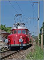 Nachdem die Reisegesellschaft in einem Weingut in Schafis sicherlich gut gespeist hatte, fuhr der OeBB RCe 2/4 607 (Baujahr 1938/Hersteller SLM, MFO, BBC und SAAS) wieder nach Balsthal zurück. Ich konnte den formschönen Leicht-Schnelltriebwagen bei der Durchfahrt in Ligerz fotografieren. 
Der RCe 2/4 607 war der letzte von sieben abgelieferten Roten Pfeilen. Der grosse Erfolg der eleganten Züge lies recht schnell die knappe Platzkapazität zum Problem werden und die Triebwagen wurden in der Folge vorwiegend im Gesellschaftsverkehr eingesetzt. 1974 kaufte die OeBB den RCe 2/4 607 und setzte den nun blau lackierten Triebzug zwischen Oensingen und Balsthal ein. Nach einer Revision 1988/89 fuhr er wieder als  Roter Pfeil  für die OeBB. In den Jahren 2022/23 versetzte die OeBB den Triebwagen dann in ursprüngliche Form, wie er jetzt zu sehen und erleben ist.

19. Juni 2025