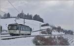 Der MOB Be 4/4 1006  Bipperlisi  ist als Regionalzug 12315 von Les Avants nach Montreux unterwegs und konnte kurz nach Planchamp fotografiert werden.