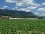 SBB - ICN unterwegs nach Solothurn - Zrich zwischen Selzach und Bellach am 13.06.2009