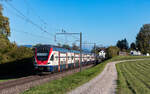 RABe 511 006 als S 19970 (Pf�ffikon ZH - Dietikon) bei Illnau 4.9.26