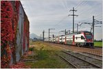 RE 5074 Chur - Zürich mit 511 036 in Siebnen-Wangen. (24.10.2016)