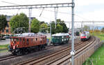 Neu trifft alt: RABe 514 als S8 fährt an den historischen E-Loks Ae 3/6 II 10439 und Am 4/4 18451 vorbei.