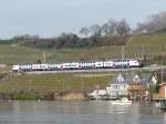 SBB - Triebzug Typ 514 unterwegs am Zrichsee bei Meilen am 29.11.2008