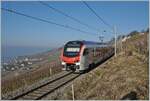  Fernverkehr  auf der Train de Vignes Strecke: der für den Fernverkehr beschaffte SBB Flirt3 RABe 523 503  Mouette  (RABe 94 85 0 523 503-6 CH-SBB) ist als S7 auf der Train de Vignes Strecke