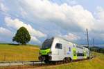 BLS  MUTZ (Serie 515) der S-Bahnlinie Bern - Schwarzenburg: Zug 515 014 hat die Steilrampe von der Schwarzwasserbrücke her erklommen. 10.Juli 2017 