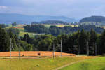 BLS  MUTZ (Serie 515) der S-Bahnlinie Bern - Schwarzenburg: In der Ferne kommt Zug 515 014 vom Schwarzenburgerland herunter.