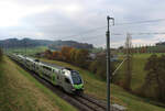 An der S6 Bern - Schwarzenburg im diesigen Novemberwetter beim Abstieg nach Bern, oberhalb Köniz. Triebzug BLS MUTZ 515 004, 9.November 2021 