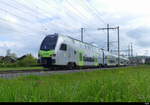 BLS - RABe 515 003 unterwegs nach Bern bei Lyssach am 2024.05.08